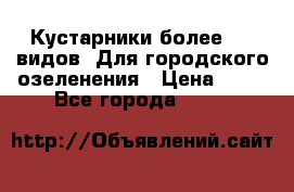 Кустарники более 100 видов. Для городского озеленения › Цена ­ 70 - Все города  »    